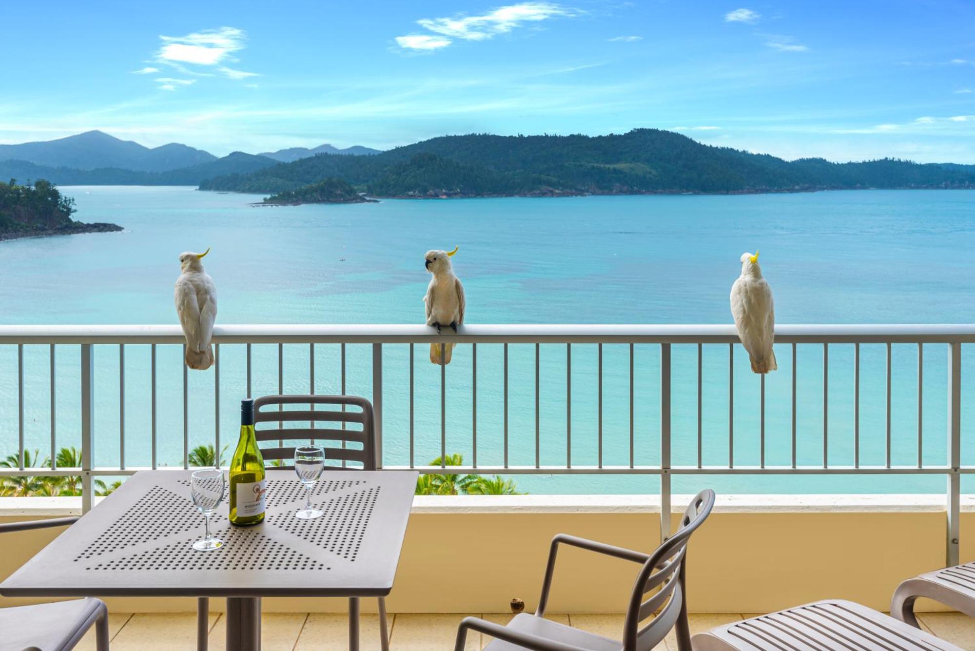 Whitsunday Apartments On Hamilton Island By Hiha Εξωτερικό φωτογραφία
